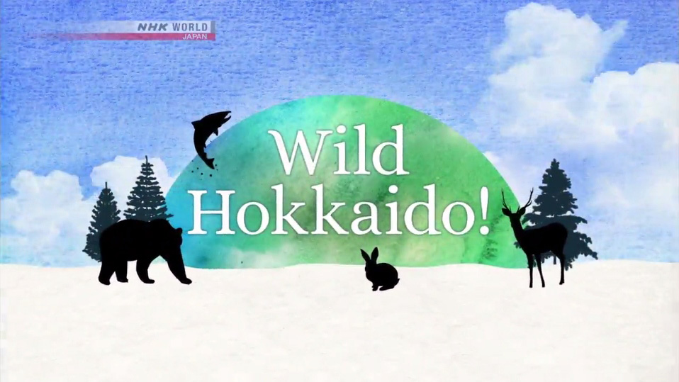 “Wild Hokkaido”充斥着函馆山无穷魅力的视频