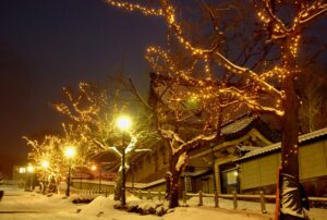 Hakodate Illumination（函馆霓虹彩灯）