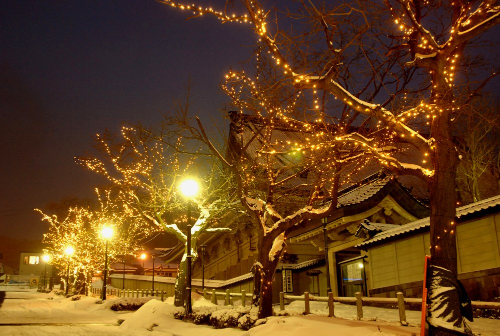 Hakodate Illumination（函馆霓虹彩灯）