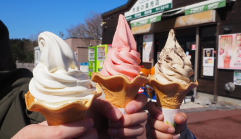 在函館享用美味的冰淇淋