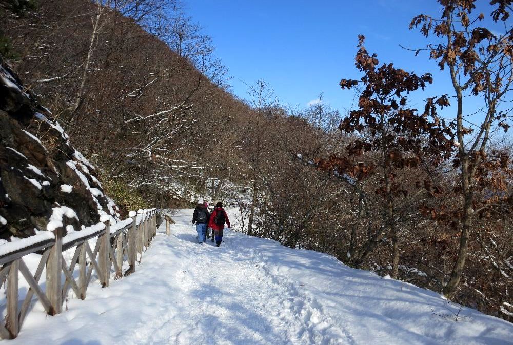 函館山