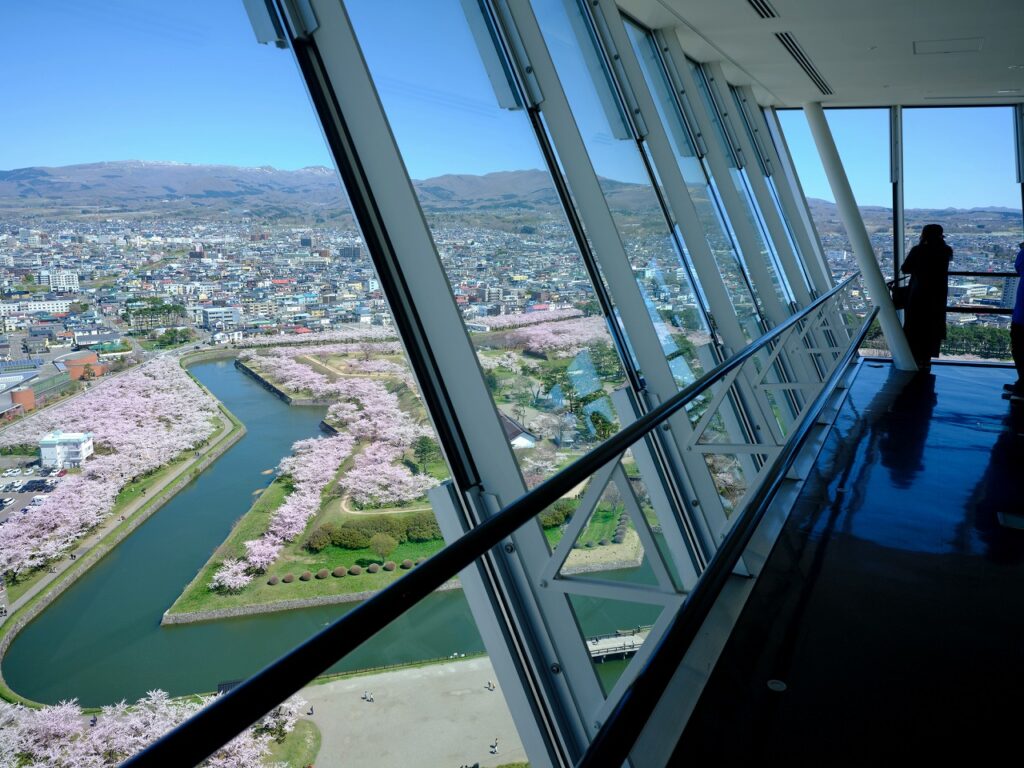 函館櫻花：適合打造美好回憶的7個絕佳景點