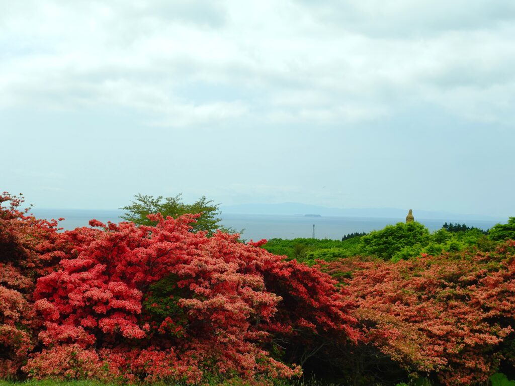惠山杜鵑花節