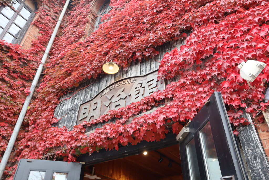 【10月31日】函館公園與明治館的楓葉狀況