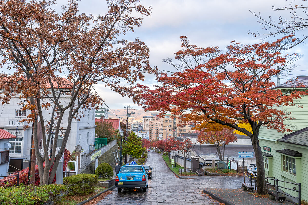 Great Scenery! Four Beautiful Slopes in Hakodate