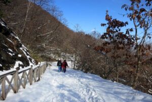 Mt. Hakodate