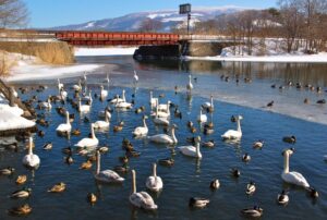 Onuma Quasi-National Park