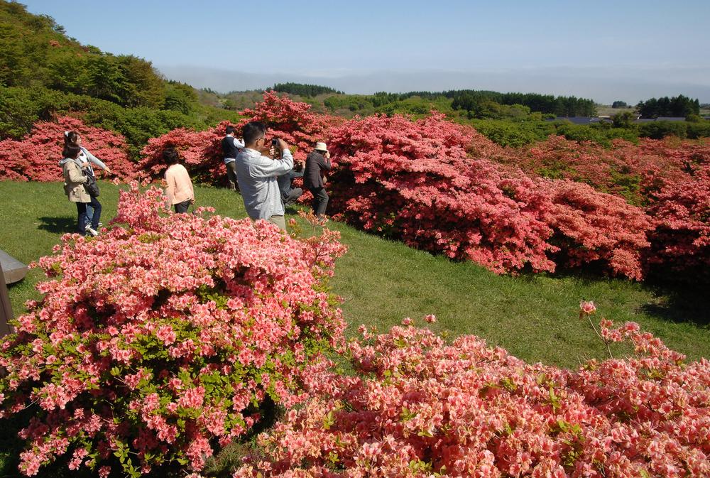 Esan Azalea Festival