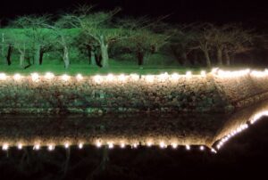 The star illumination of Goryokaku