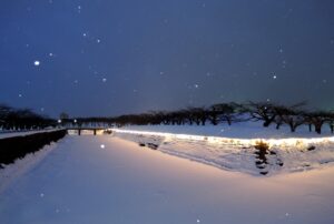 The star illumination of Goryokaku