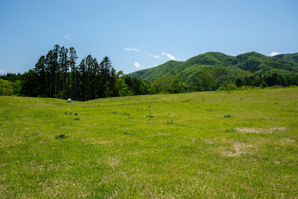 Kakinoshima site-1