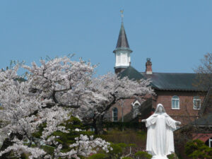 Hakodate Cherry Blossoms: 7 Perfect Spots for Making Unforgettable Memories!