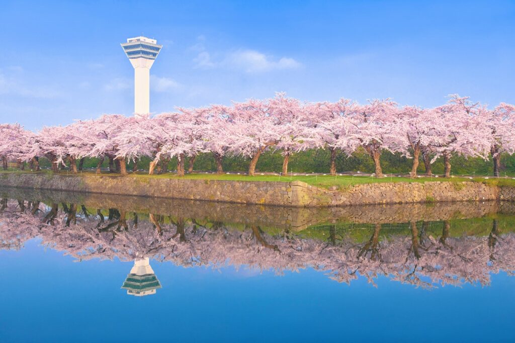 Hakodate Cherry Blossoms: 7 Perfect Spots for Making Unforgettable Memories!