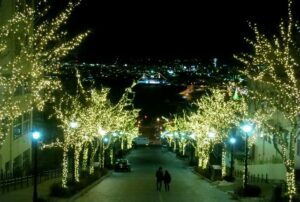 Hakodate Illumination