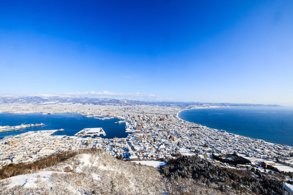 The view from Mt. Hakodate-3