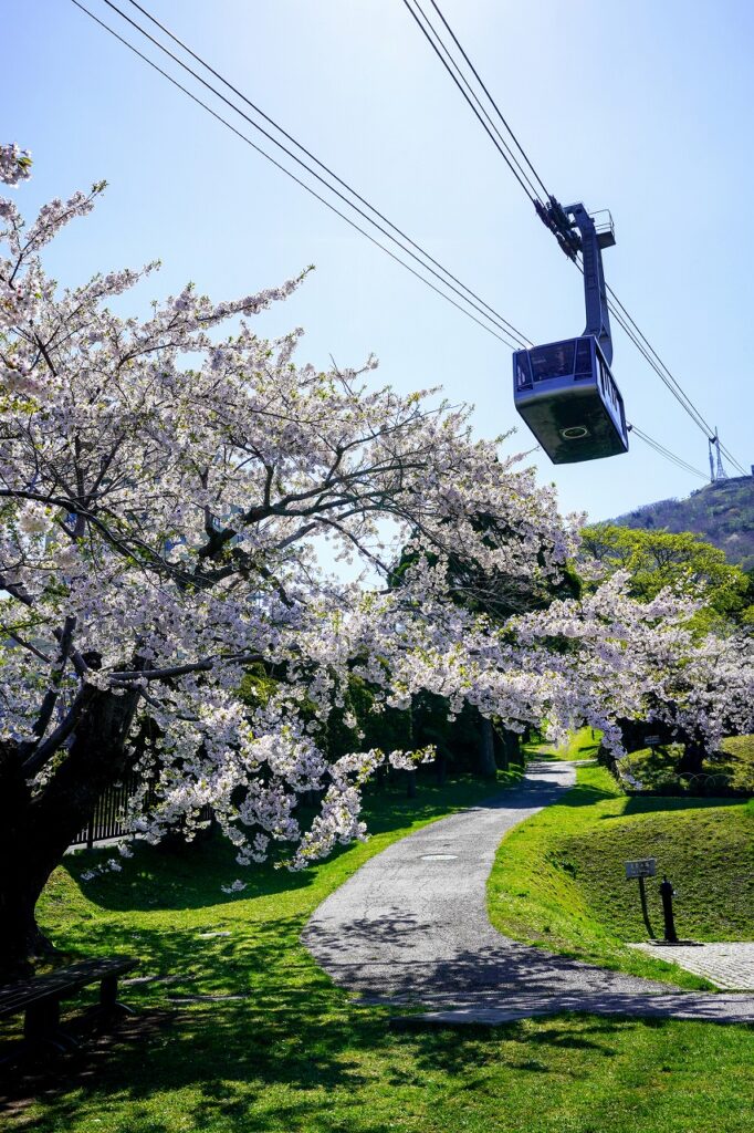 Ini Dia 7 Spot yang Sempurna untuk Menikmati Keindahan Bunga Sakura di Hakodate!