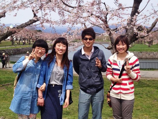 Why don't you come to Hakodate in spring to see cherry blossoms?