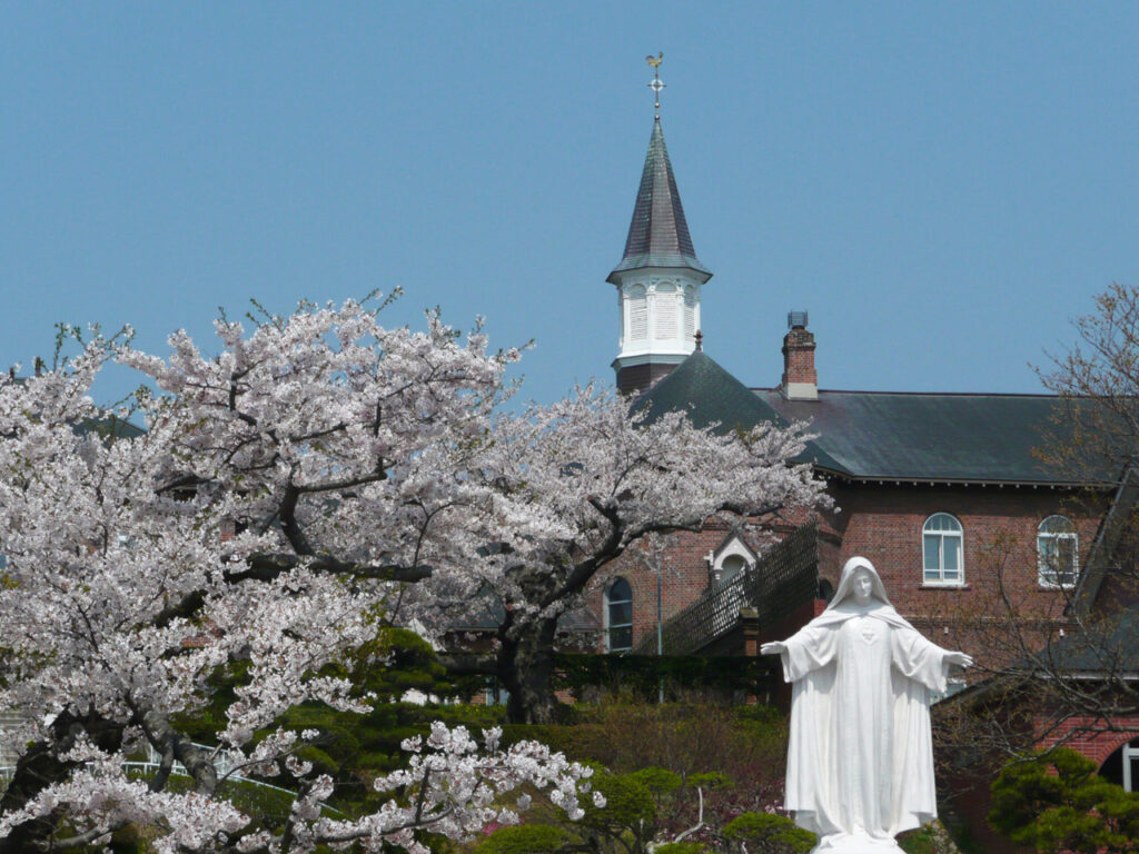Bunga Sakura di Hakodate: Tujuh tempat yang sempurna untuk membuat kenangan terbaik