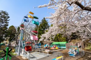 Bunga Sakura di Hakodate: Tujuh tempat yang sempurna untuk membuat kenangan terbaik