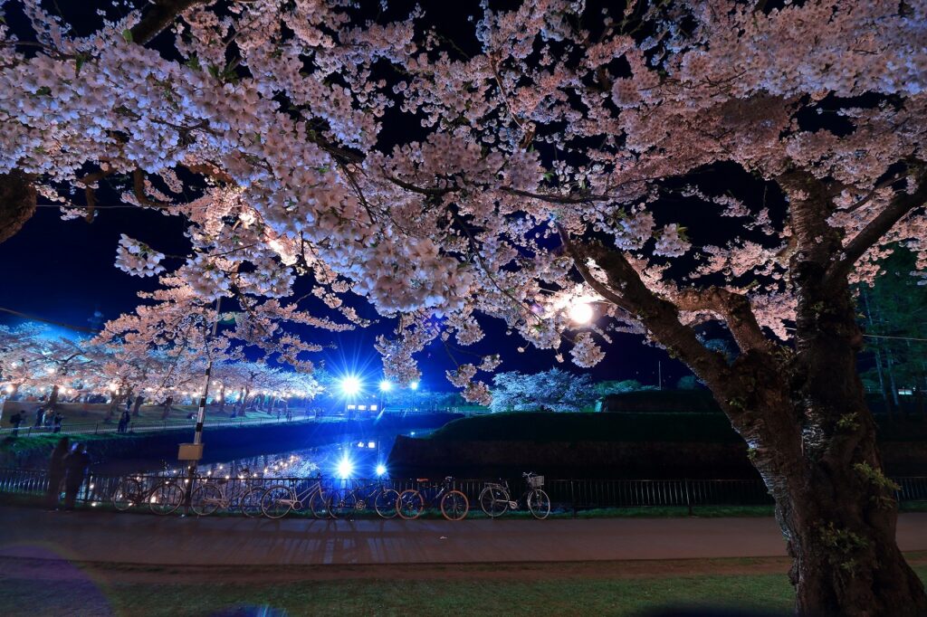 Bunga Sakura di Hakodate: Tujuh tempat yang sempurna untuk membuat kenangan terbaik