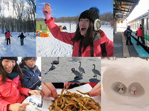 Next to Hakodate is located Onuma Quasi National Park – enjoy all sorts of activities in the snow