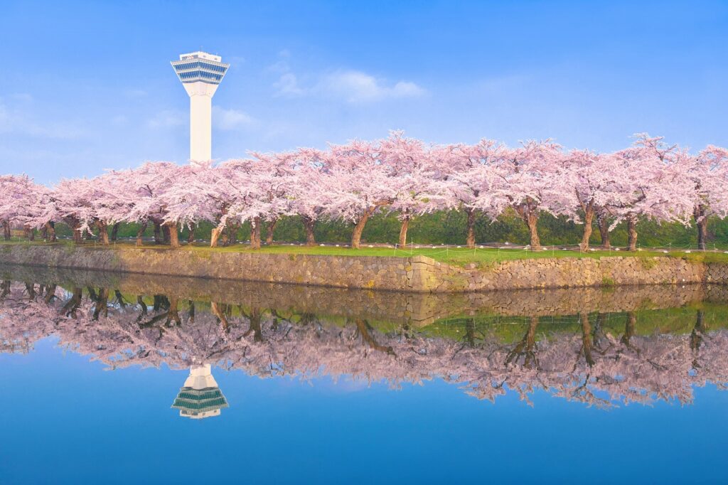 7 จุดชมดอกซากุระในฮาโกดาเตะที่สมบูรณ์แบบในการสร้างความทรงจำสุดพิเศษ